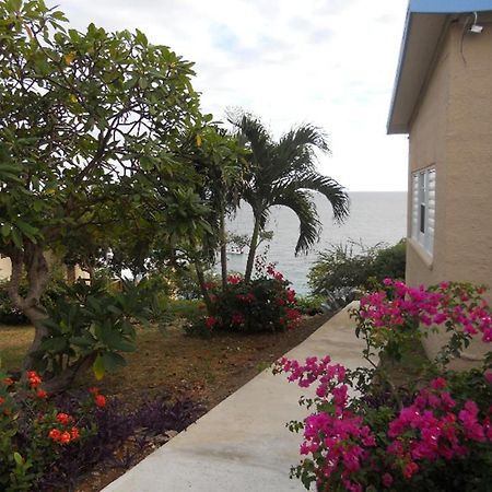 Paradise Cove Ocean Front Villas And Suites Nazareth Exteriör bild